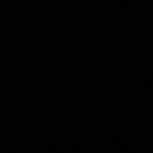 Meet your Posher, Peyton